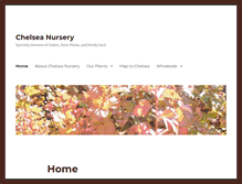 Tablet Screenshot of chelseanursery.com